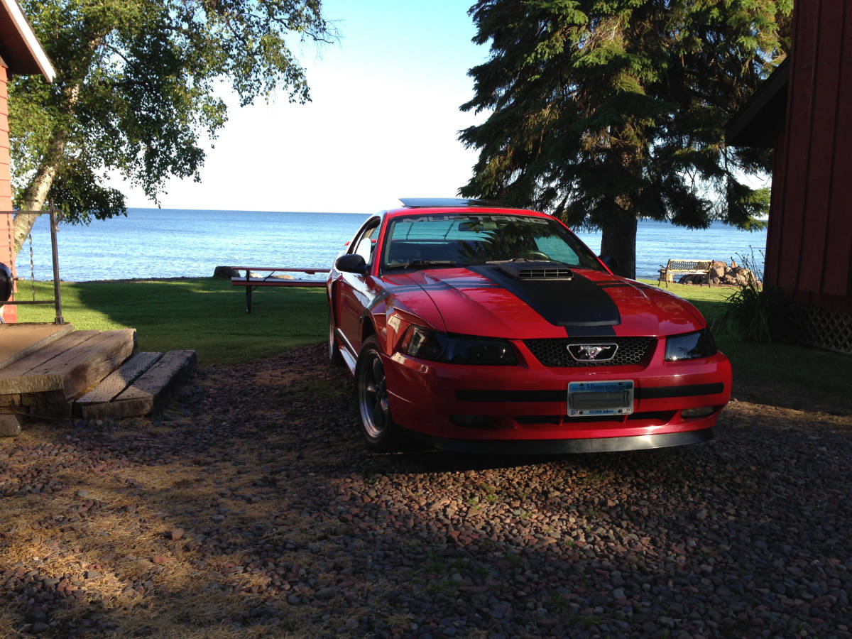 Mustang image 19