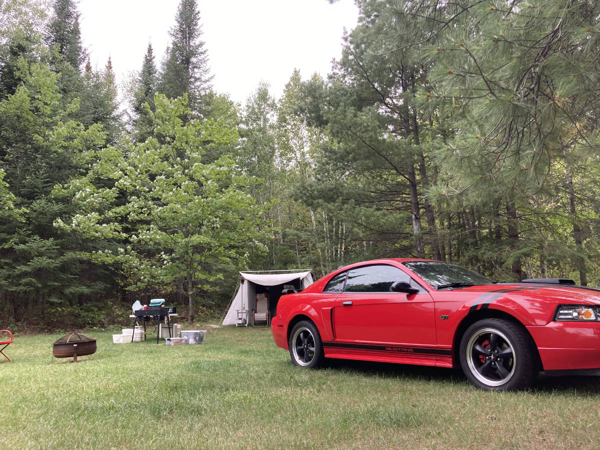 Mustang image 21